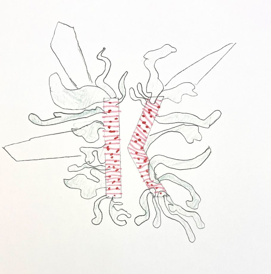 Kasey Y3 Graphic design